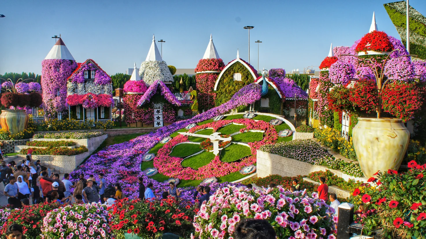 Miracle Garden attraction in Dubai or Abu Dhabi UAE